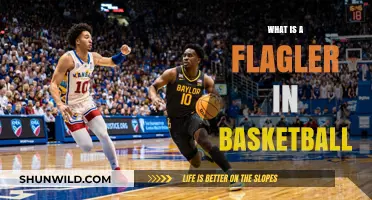 Understanding the Flagler Move: A Unique Basketball Dribbling Technique Explained
