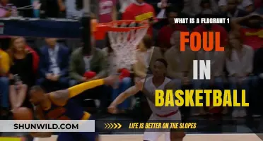 Understanding Flagrant 1 Fouls in Basketball: Rules, Penalties, and Impact