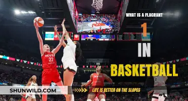 Understanding Basketball's Flagrant 1 Fouls