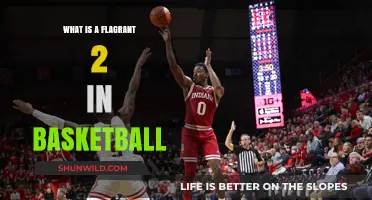 Understanding Flagrant 2 Fouls in Basketball: Rules, Penalties, and Impact