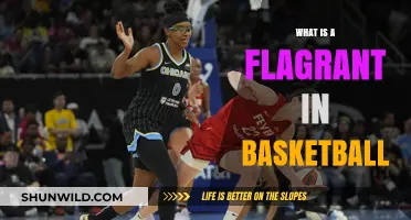 Understanding Flagrant Fouls in Basketball: Rules, Penalties, and Impact