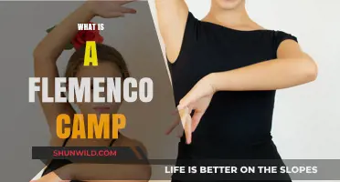 Exploring Flamenco Camps: Immerse in Passionate Dance & Culture