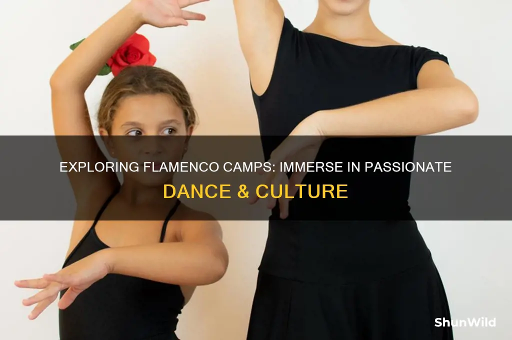 what is a flemenco camp