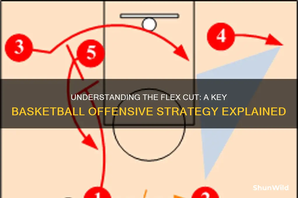 what is a flex cut in basketball