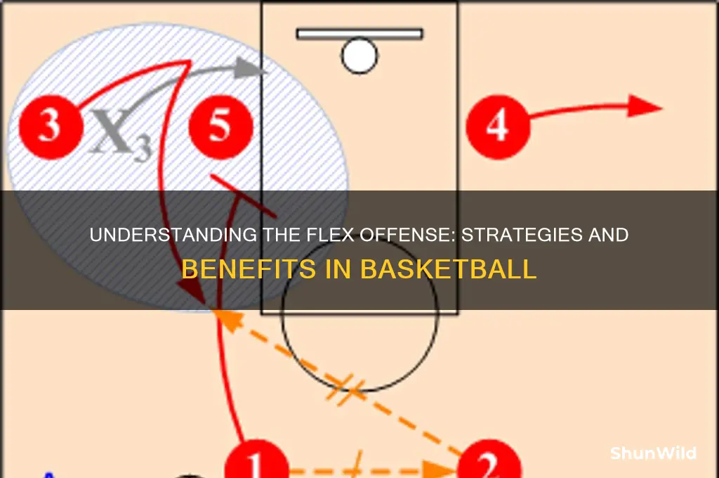 what is a flex offense in basketball