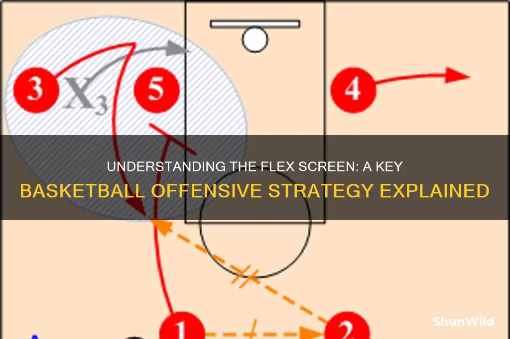 what is a flex screen in basketball