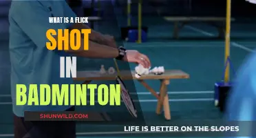 Flick Shot: Badminton's Deceptive Technique