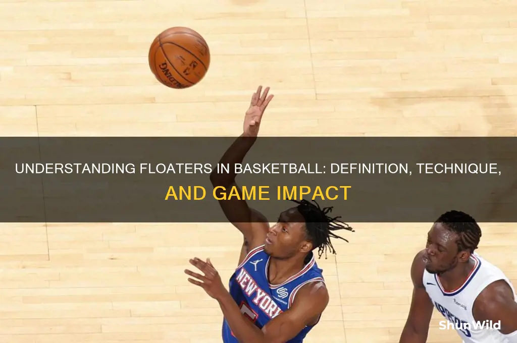 what is a floater in basketball definition