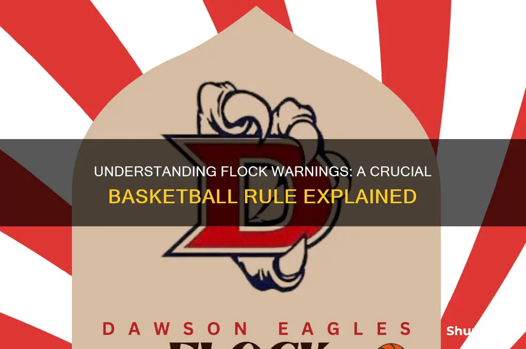 what is a flock warning in basketball