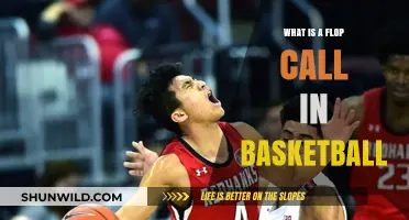Understanding the Flop Call in Basketball: Rules, Penalties, and Impact