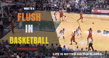 Understanding the Flush: A High-Flying Dunk in Basketball Explained
