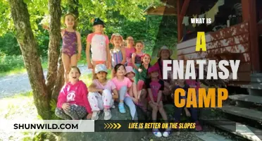 Exploring the Magic of Fantasy Camps: A Beginner's Guide