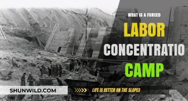 Forced Labor Concentration Camps: History, Definition, and Modern Implications