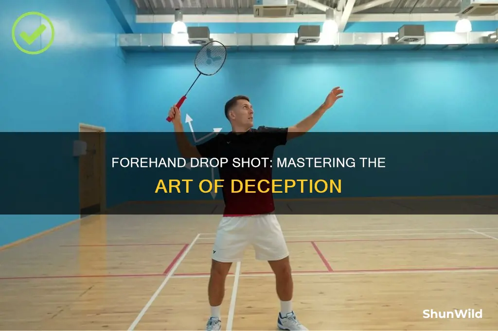what is a forehand drop shot in badminton
