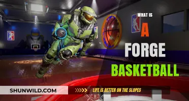 Understanding Forge Basketball: History, Gameplay, and Unique Features Explained