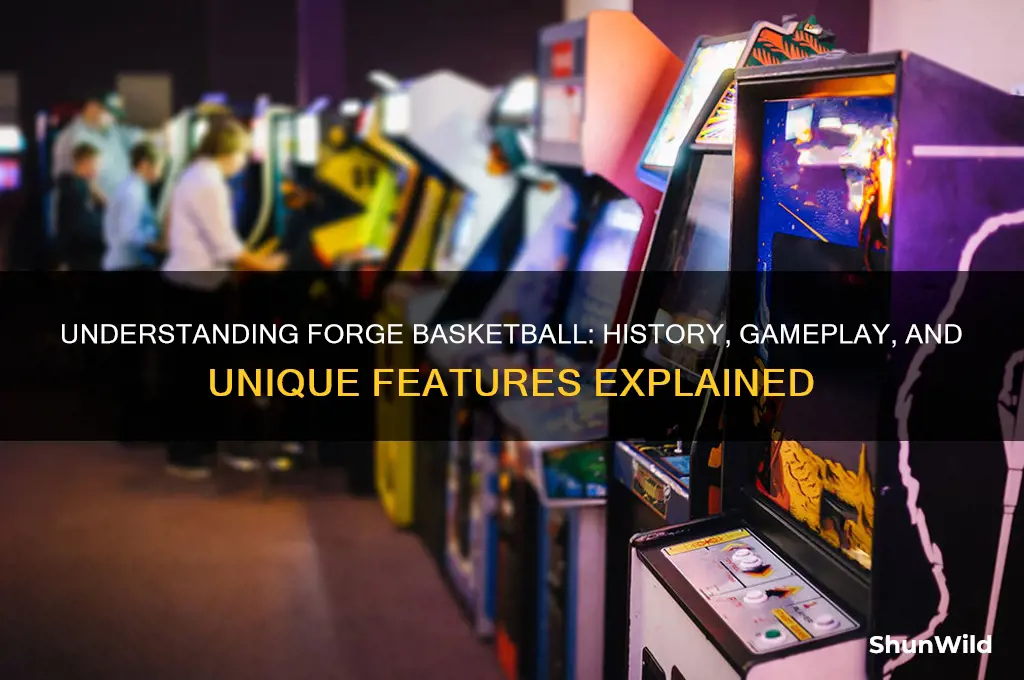 what is a forge basketball
