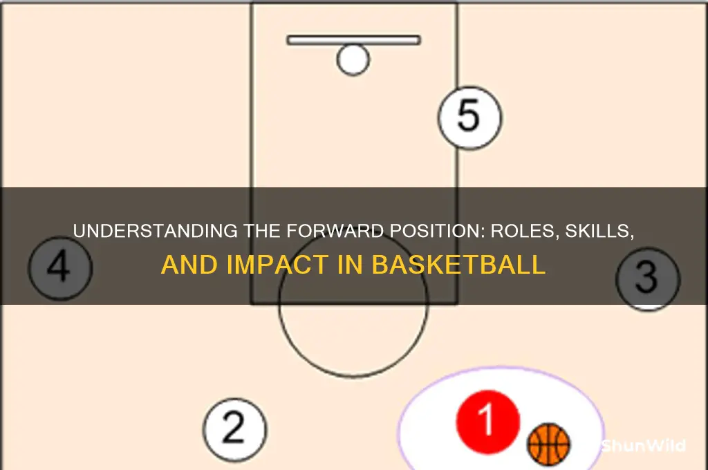what is a forward position in basketball