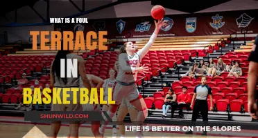 Understanding the Foul Terrace: A Key Basketball Penalty Explained