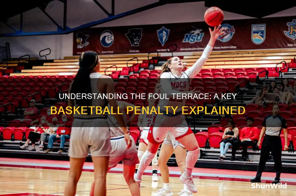 what is a foul terrace in basketball