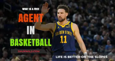Free Agency in Basketball: What Does it Mean?