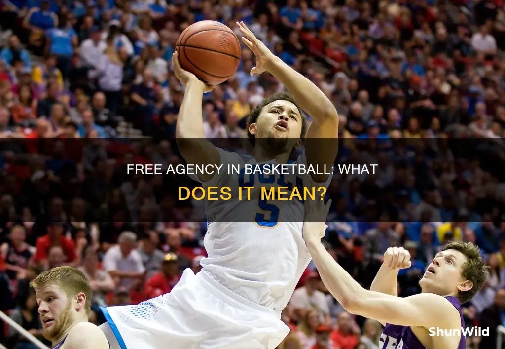 what is a free agent in basketball