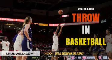 Free Throw Fundamentals: Mastering the Basics of Basketball