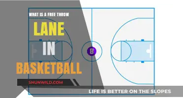 Understanding the Free Throw Lane: Key Area in Basketball Explained