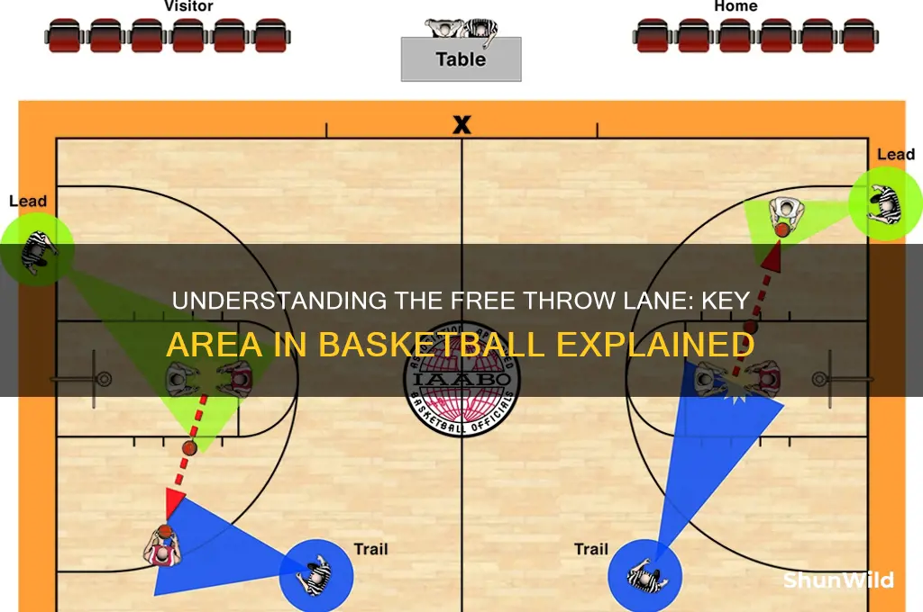 what is a free throw lane in basketball