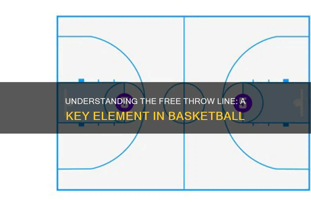 what is a free throw line in basketball