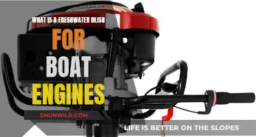 Freshwater Dangers: Protecting Boat Engines from Corrosion