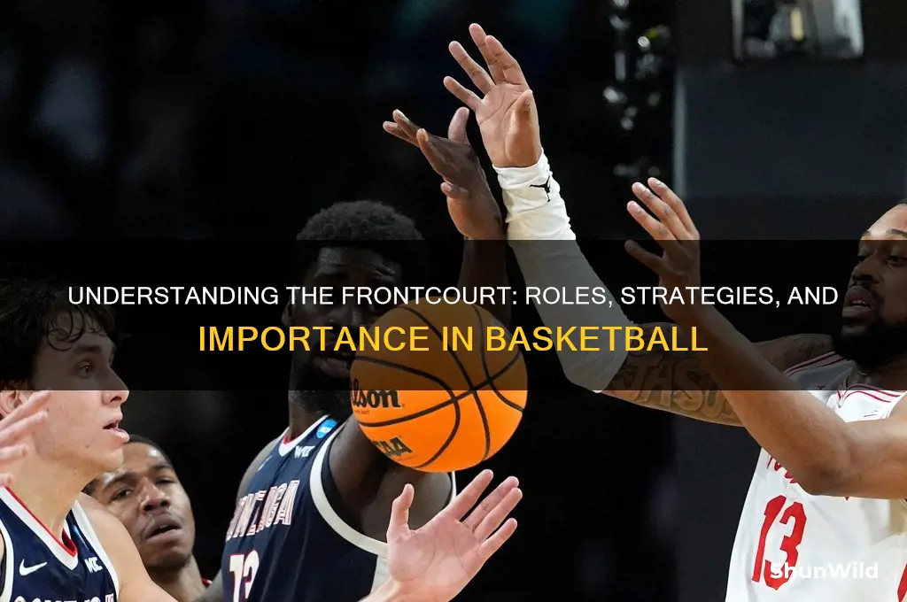 what is a frontcourt in basketball
