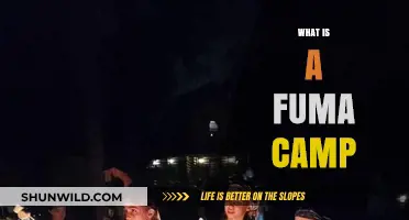 Exploring Fuma Camps: Origins, Traditions, and Cultural Significance Explained