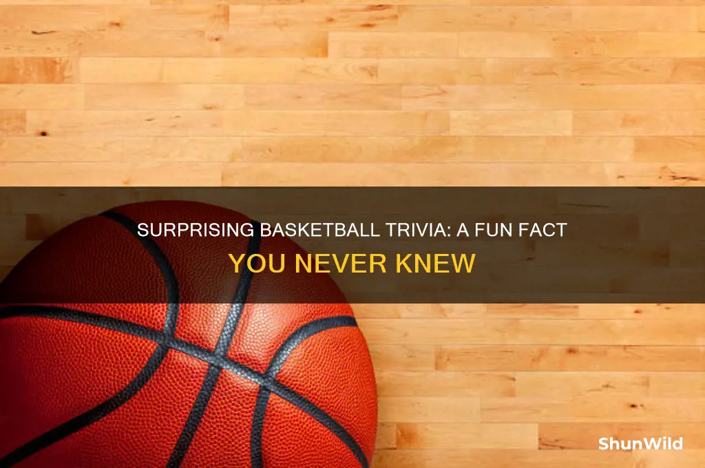 what is a fun fact about basketball