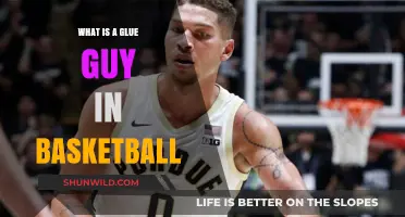 Understanding the Glue Guy: Unsung Heroes in Basketball Dynamics