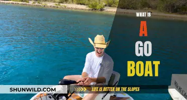 Go Boat: The Ultimate Eco-Friendly Watercraft Experience