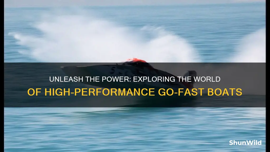 what is a go fast boat