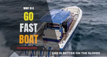 Go-Fast Boats: Speed, Design, and Use