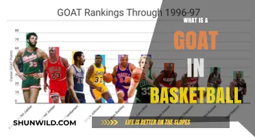 Who's the Greatest Basketball Goat of All Time?