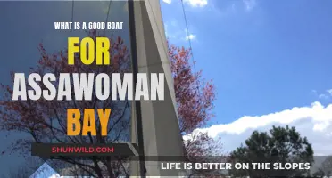 Best Boats for Assawoman Bay: A Guide