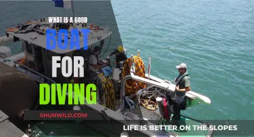 Best Boats for Diving: Safe and Fun Adventures