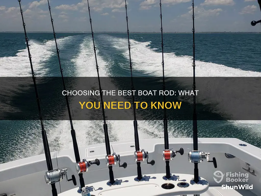 what is a good boat rod