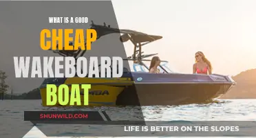 Affordable Wakeboarding: Choosing the Right Boat on a Budget