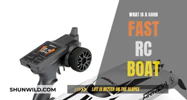 Fast RC Boat: How to Choose the Best One