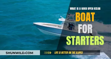 Best Open Ocean Boats for Beginners