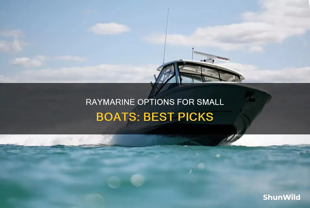 what is a good raymarine for a small boat