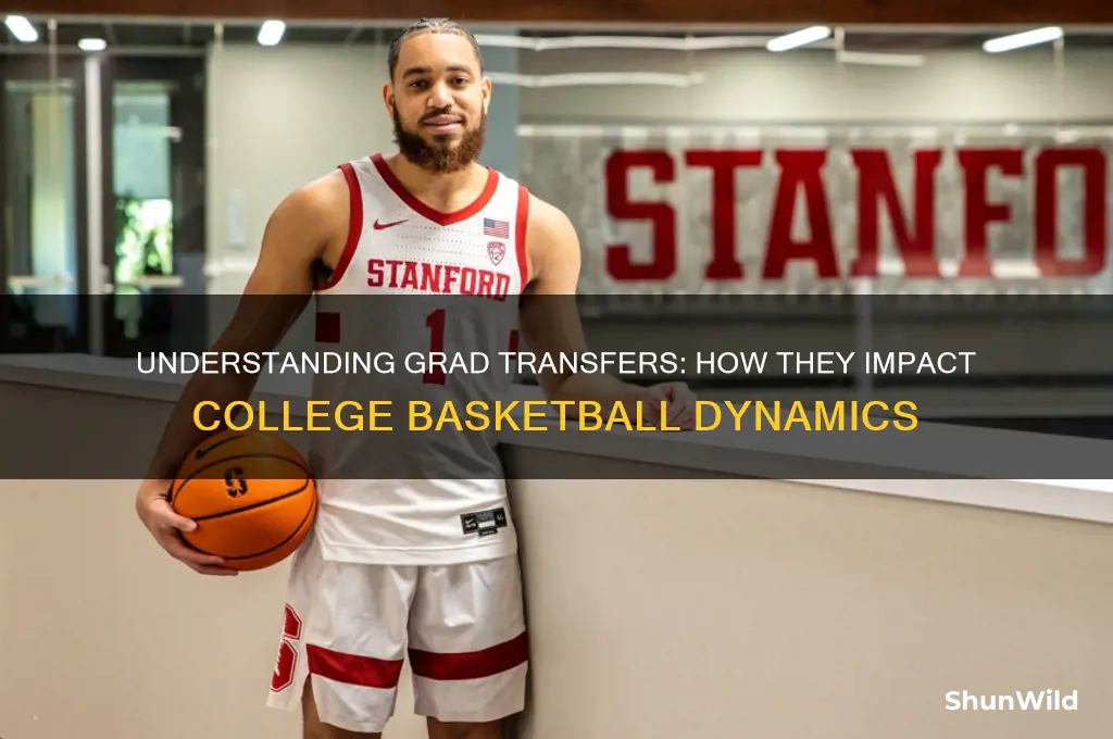 what is a grad transfer in basketball