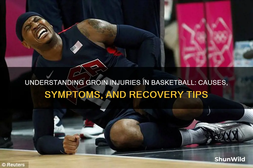 what is a groin injury in basketball