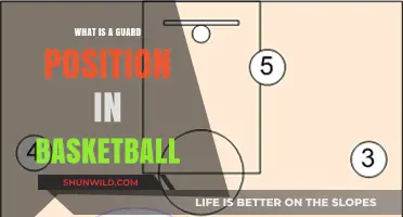 Understanding the Guard Position: Roles, Skills, and Impact in Basketball