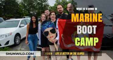 Understanding the Role of a Guide in Marine Boot Camp Training