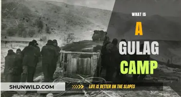 Understanding the Brutal Reality of Soviet Gulag Labor Camps